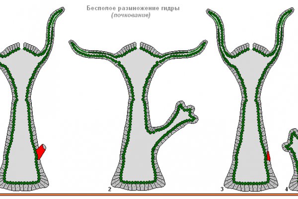 Наркоплощадки кракен