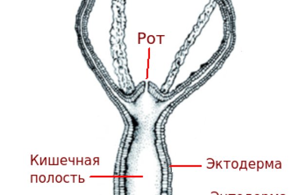 Кракен 17 af