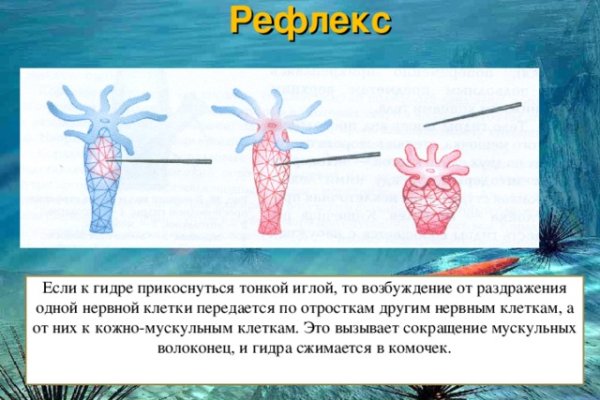 Что такое кракен наркотик